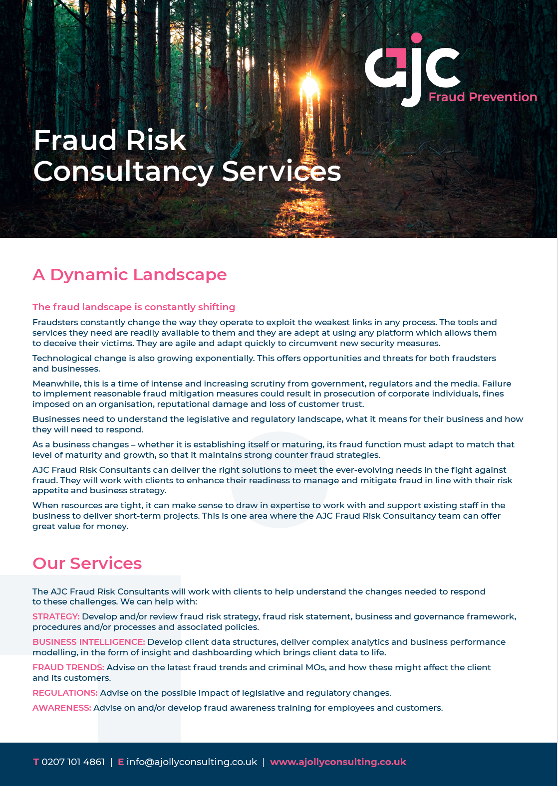 fraud risk services